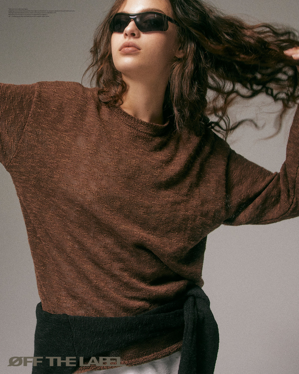 OFF THE LABEL Textured Knit Crewneck Sweater Brown